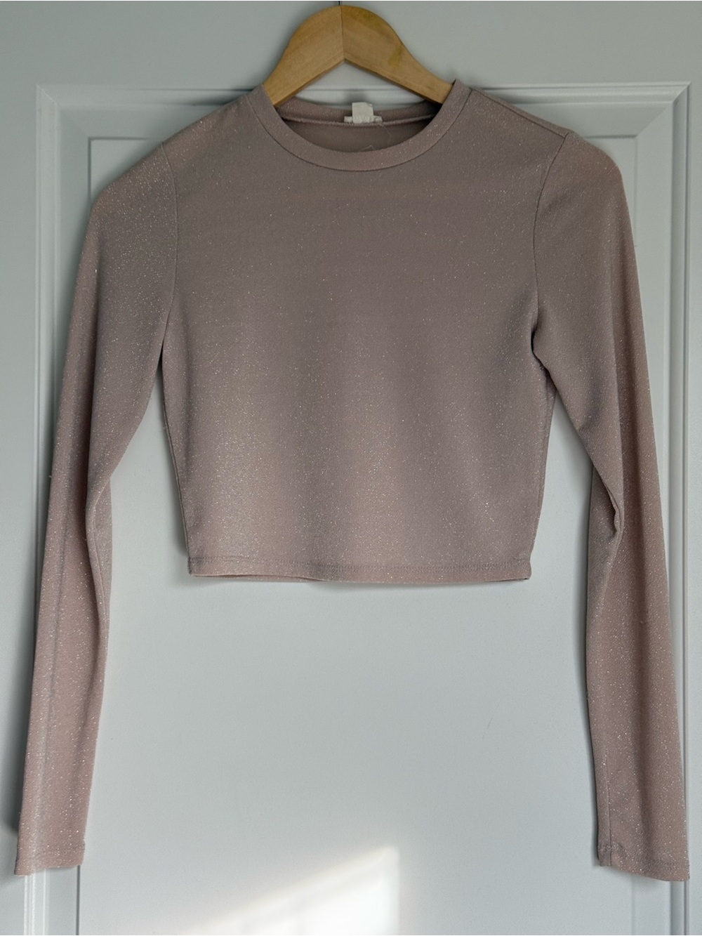 Garage Sparkly Long Sleeve Crop Top